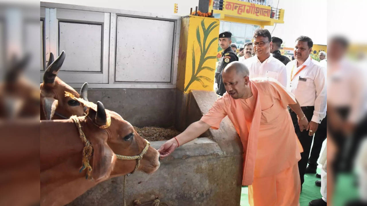 Uttar Pradesh CM Yogi Adityanath