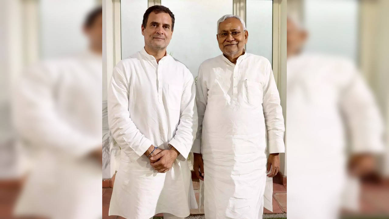 Nitish Kumar meets Rahul Gandhi - ians