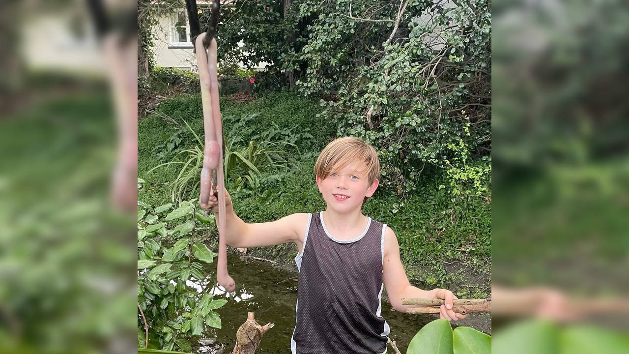 Boy discovers giant earthworm in his back garden