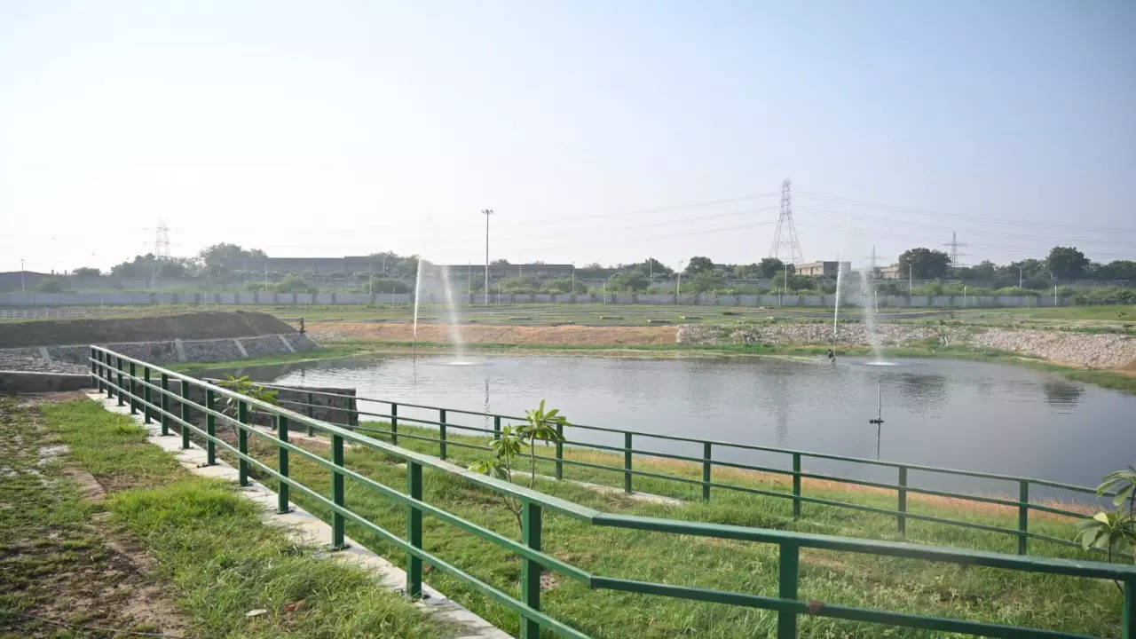 Delhi's Sannoth Lake