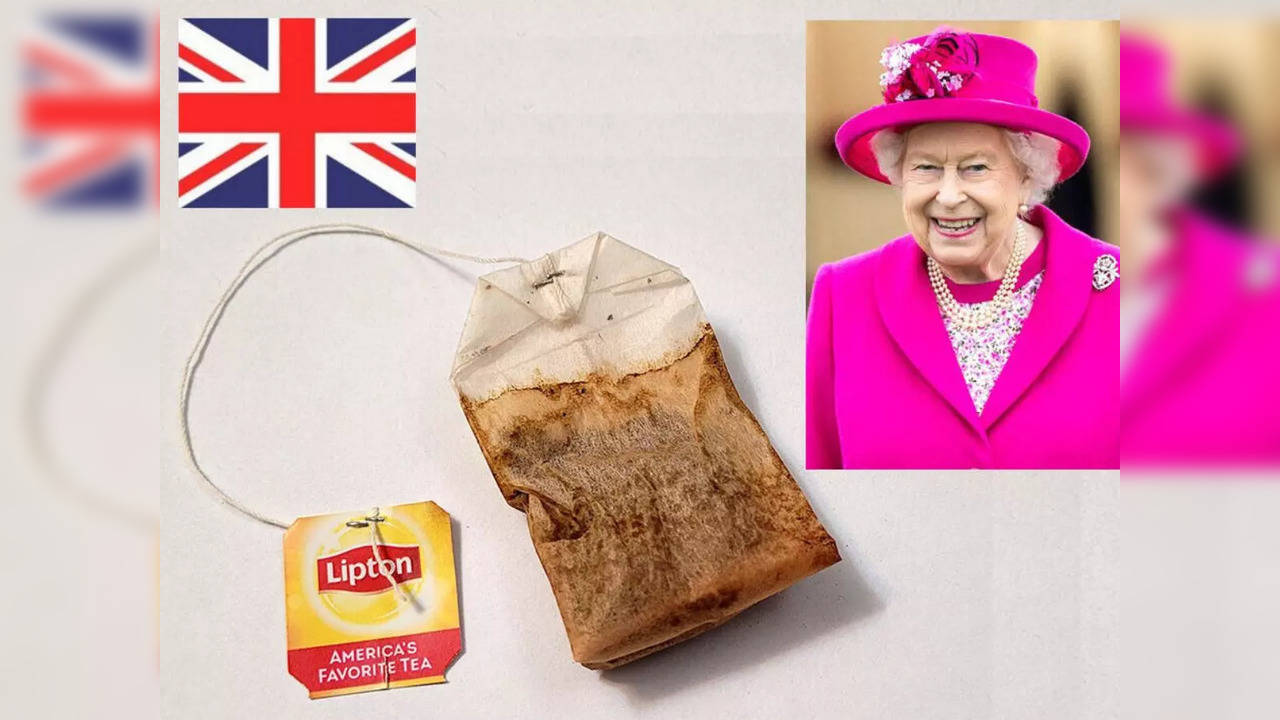 A teabag used by Queen Elizabeth II in 1998 and later smuggled out of Windsor Castle has sold for $12,000 | Picture courtesy: Ebay.com