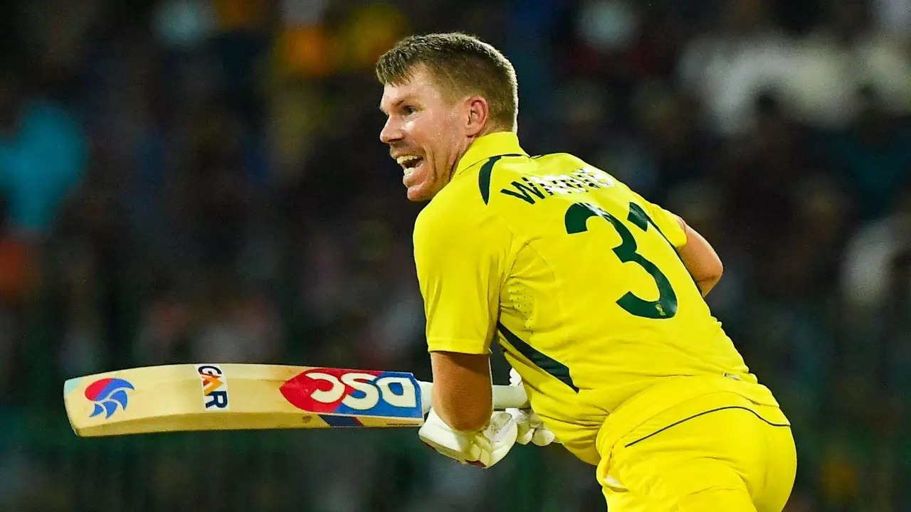 David Warner ICC1