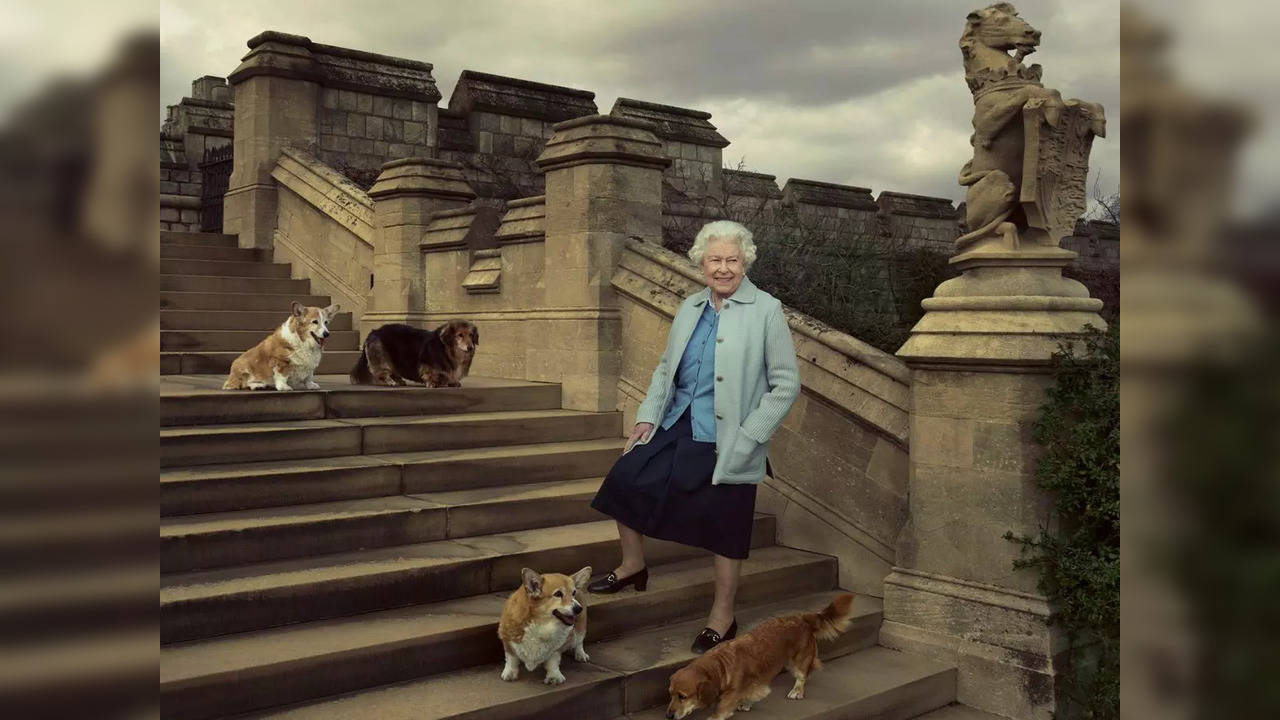 At the time of death, Queen Elizabeth II owned two Corgis, Muick and Sandy, one Dorgi, named Candy, and a Cocker Spaniel