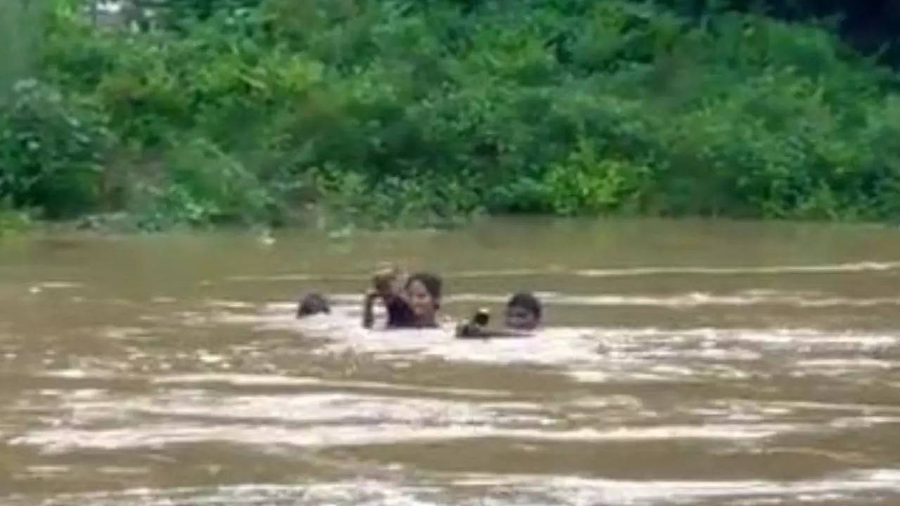 Girl crosses river in Andhra Pradesh