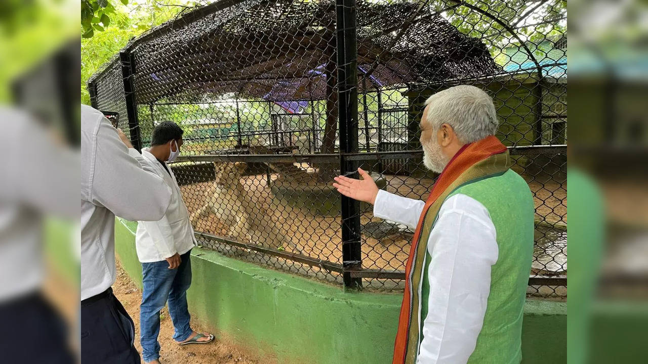 Union Minister Ashwini Kumar Choubey Sunday visited the Nandankanan Zoological Park (NZP) near Bhubaneswar | Picture courtesy: Twitter/@PIBBhubaneswar