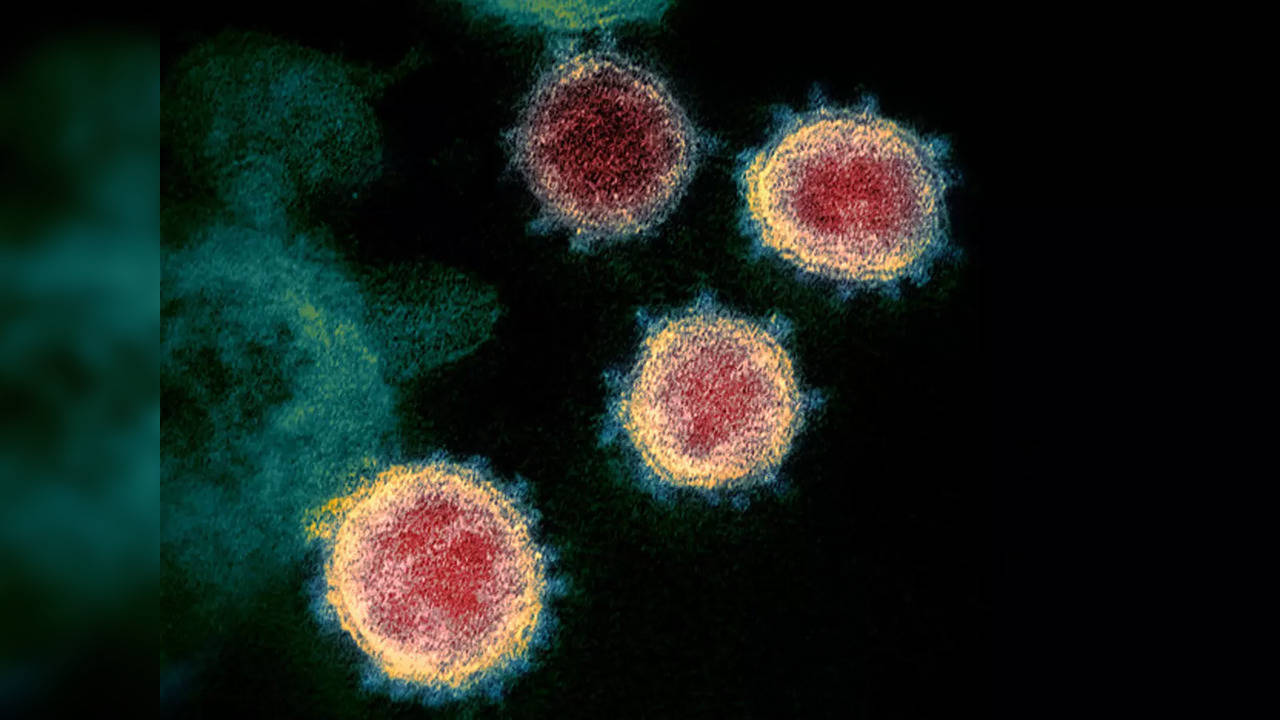 Coronavirus_NIAID