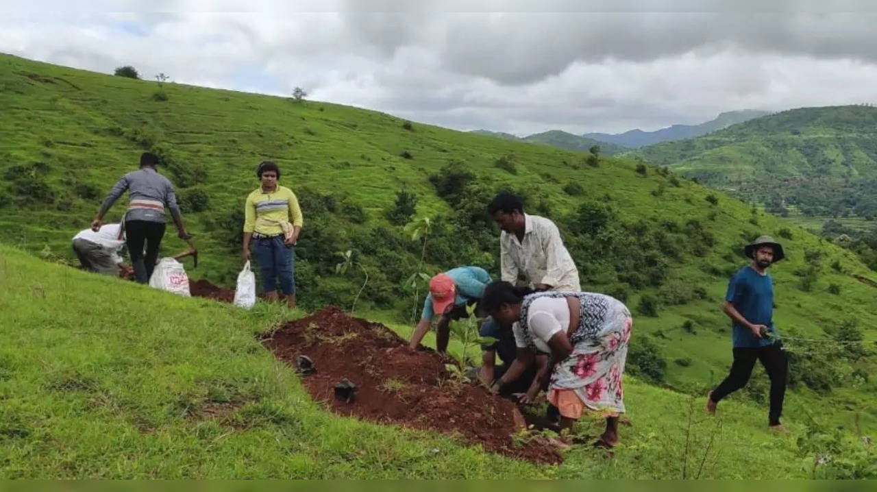 Villagers of Hirpodi turn barren hill into forest​