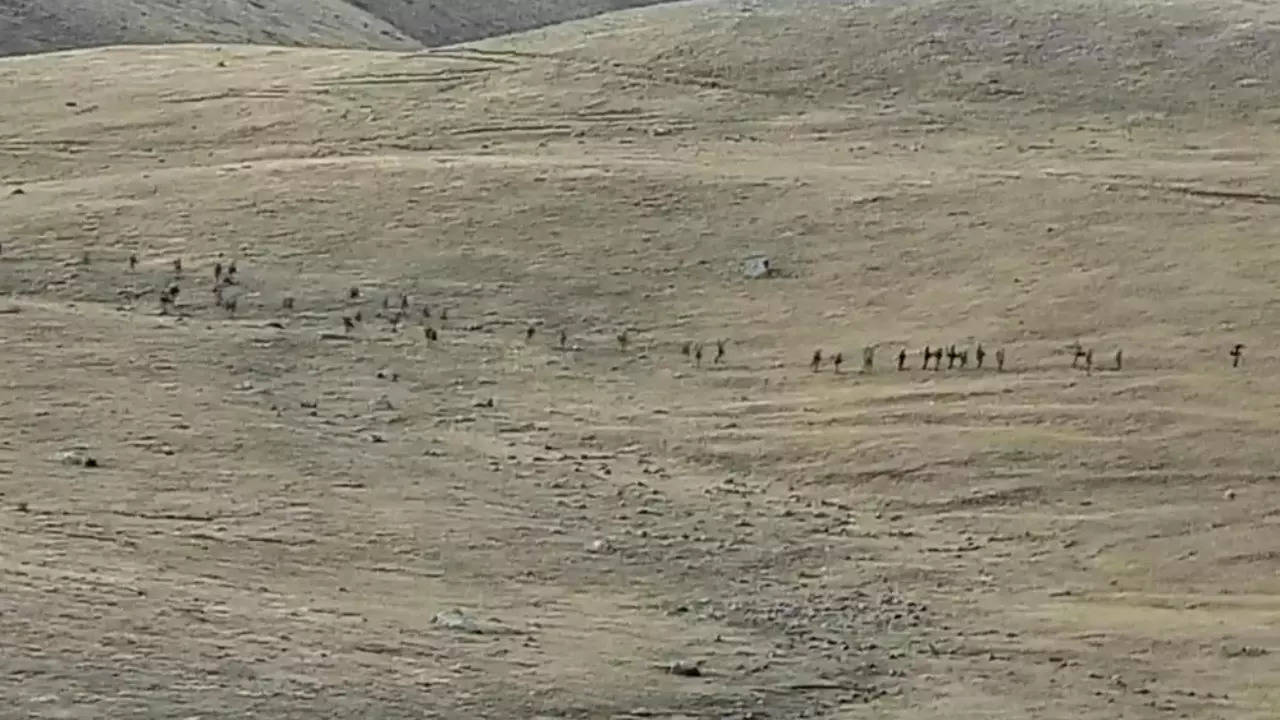 Azerbaijan-Armenia border clashes