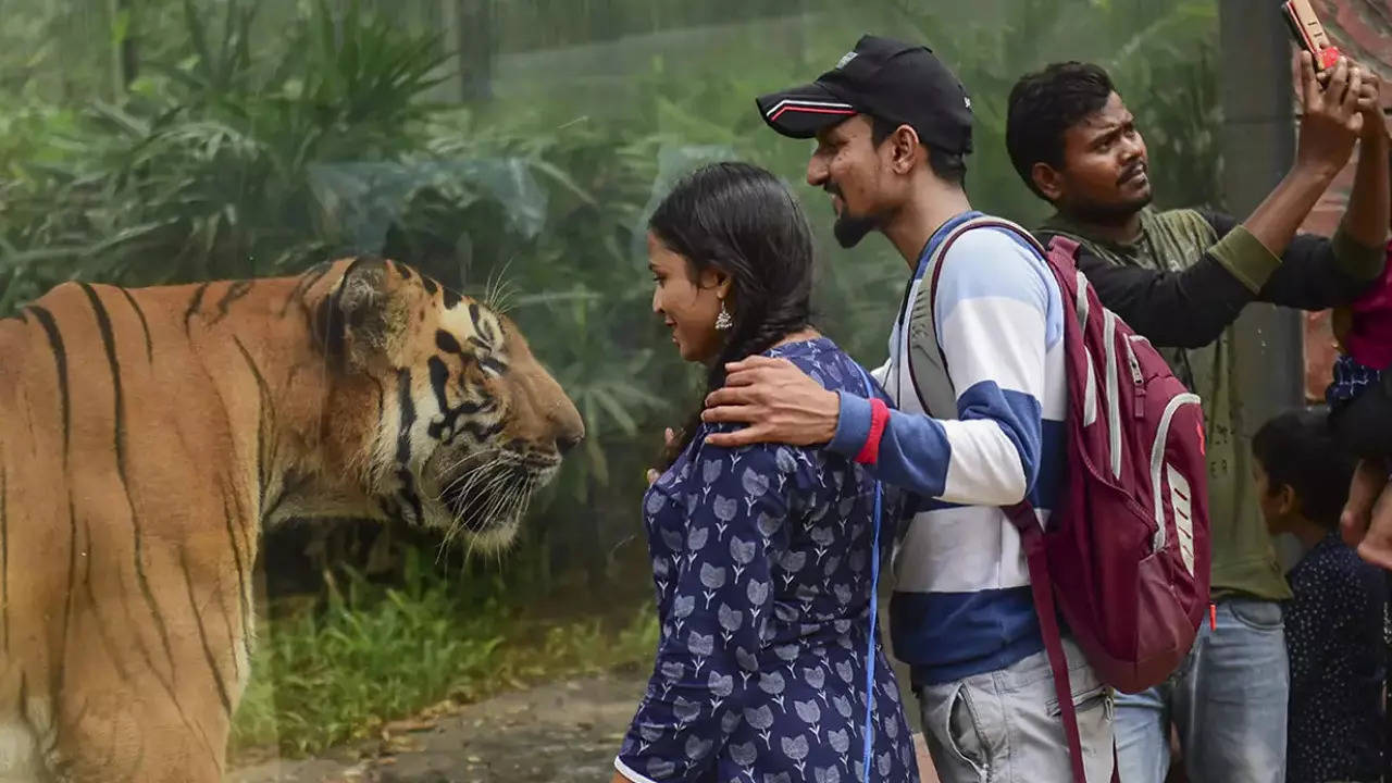 From Byculla Zoo.