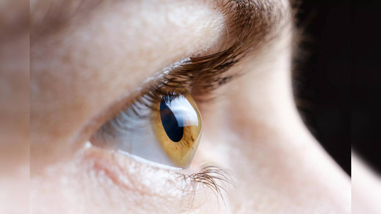 65 suffer from vision loss due to flashing laser lights during Ganesh