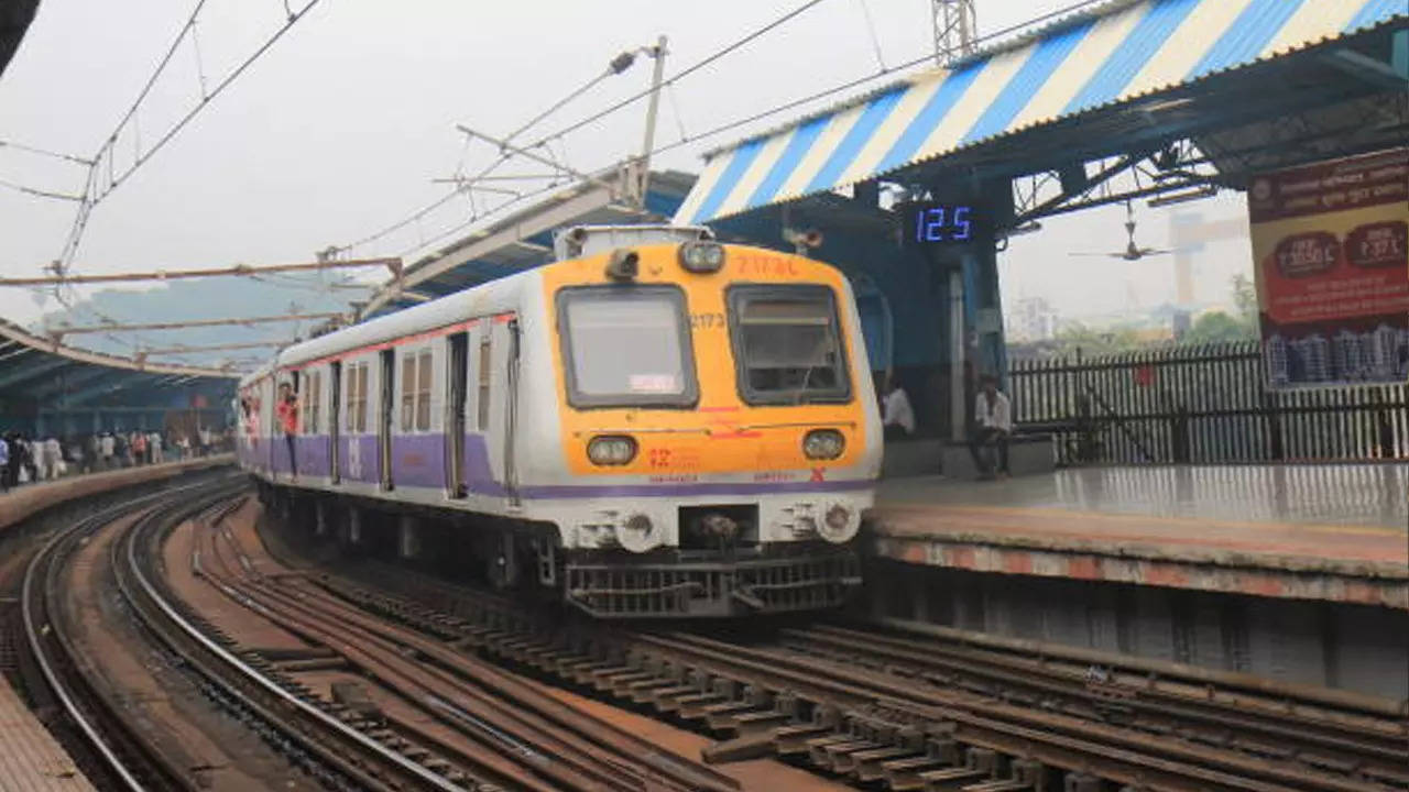 Mumbai local train.