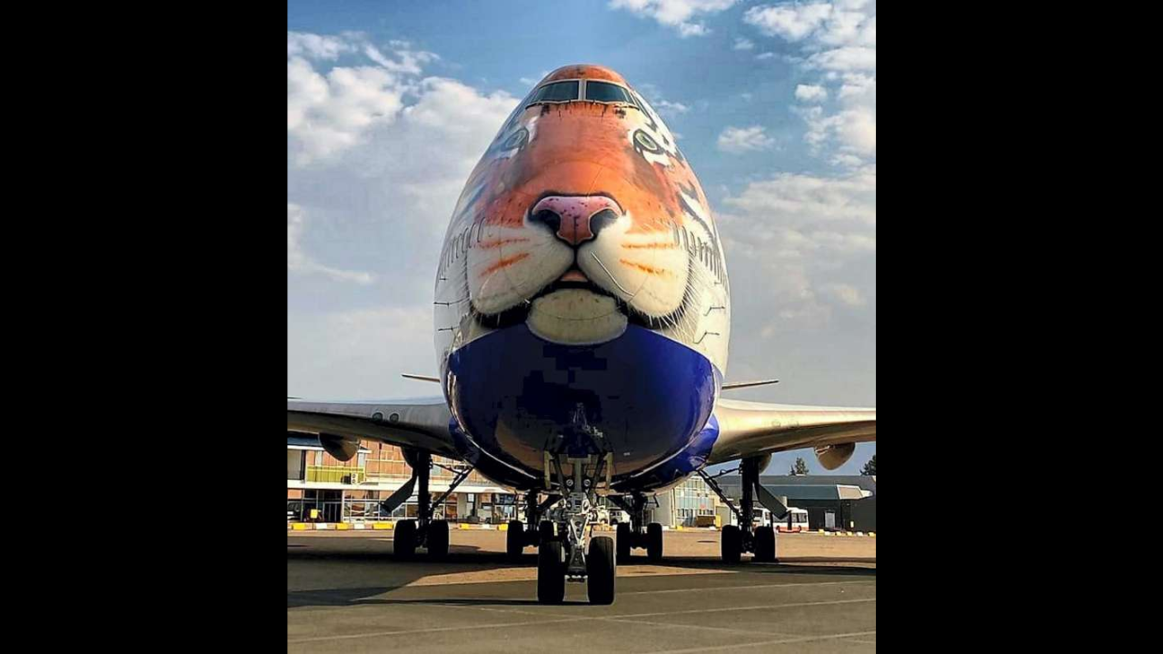 Specially customised tiger-faced B747 jumbo jet to bring 8 cheetahs from Namibia to India on PM Modi's birthday