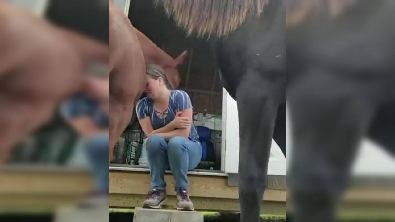 'We don't deserve animals': Horse comforts sad owner, gives her a ...