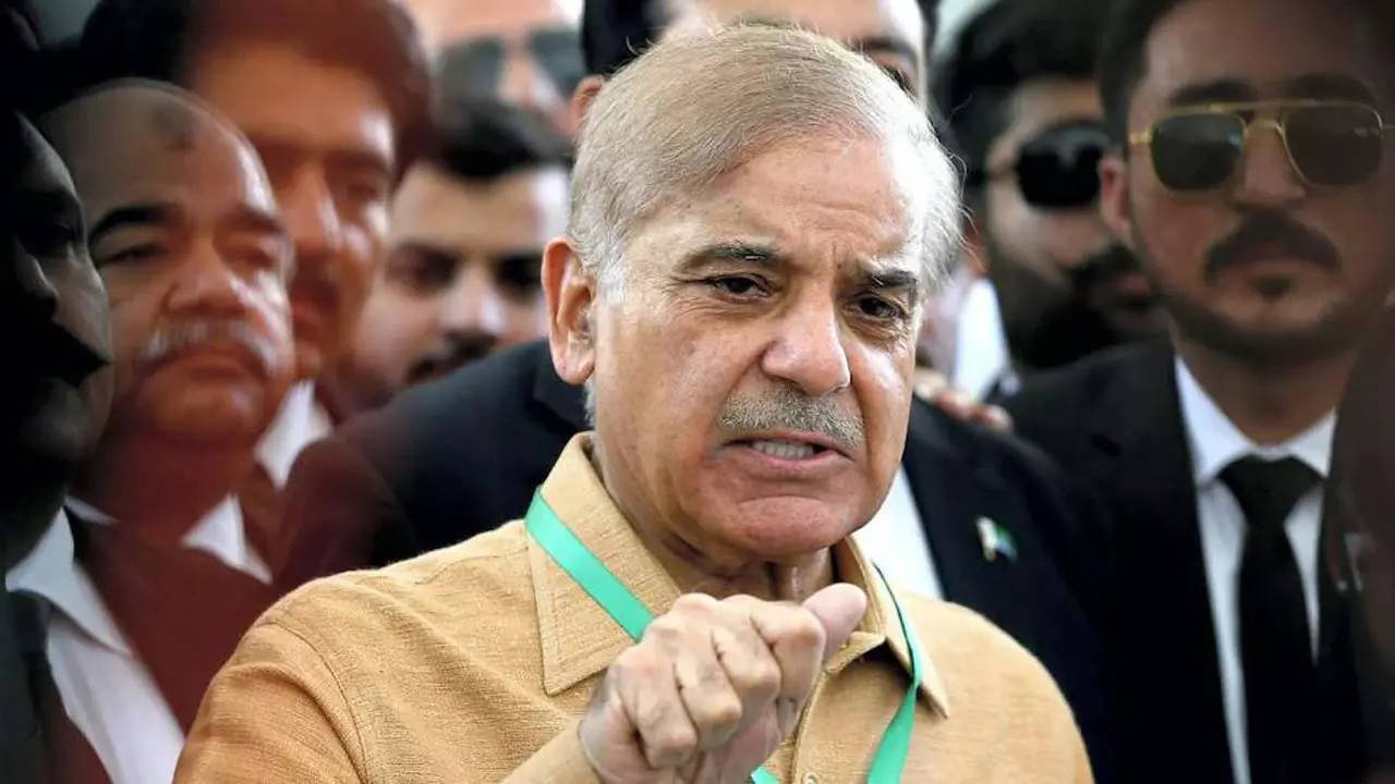 Pakistan​ Prime Minister Shehbaz Sharif​