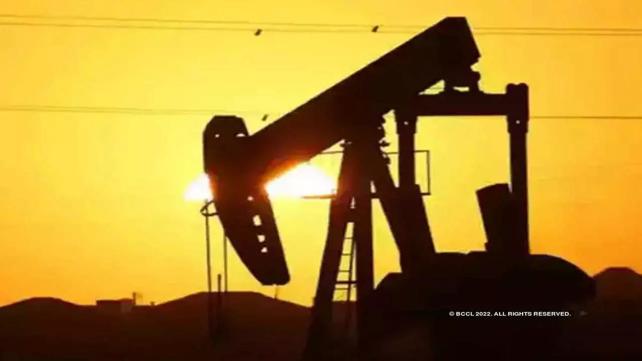 Government cuts windfall tax on crude oil