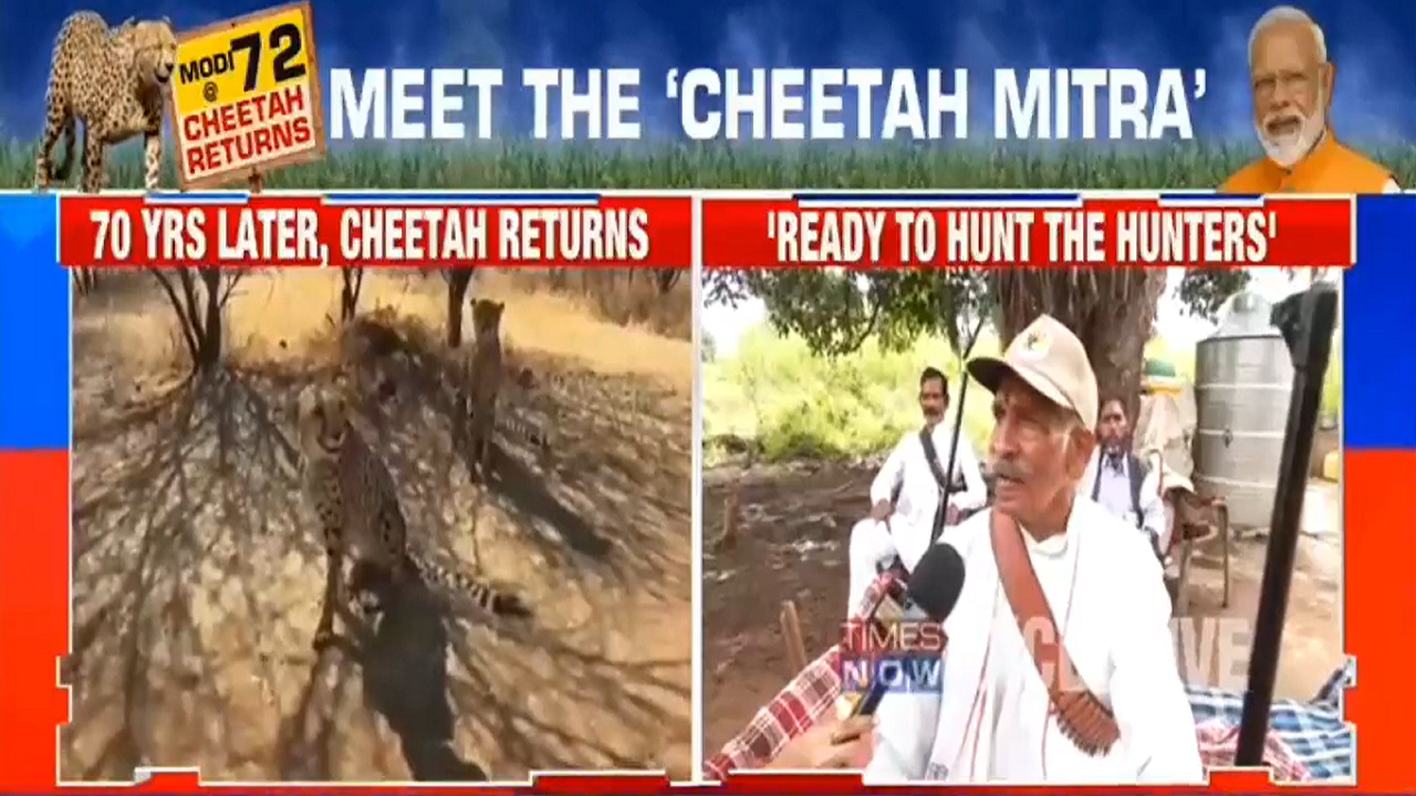 Cheetah Mitra