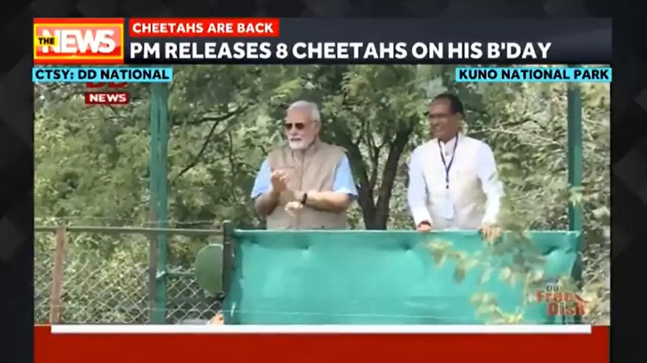 PM Narendra Modi releases cheetahs at their new home in Kuno National ...
