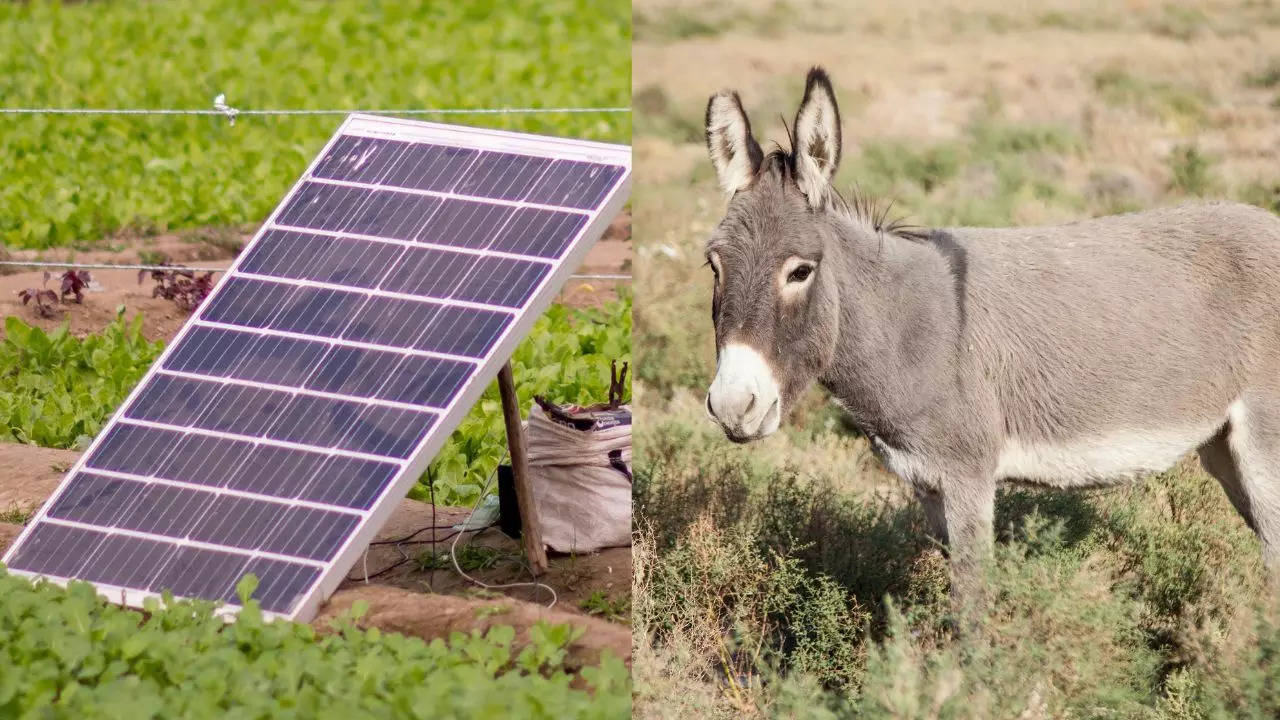 Solar-powered battery