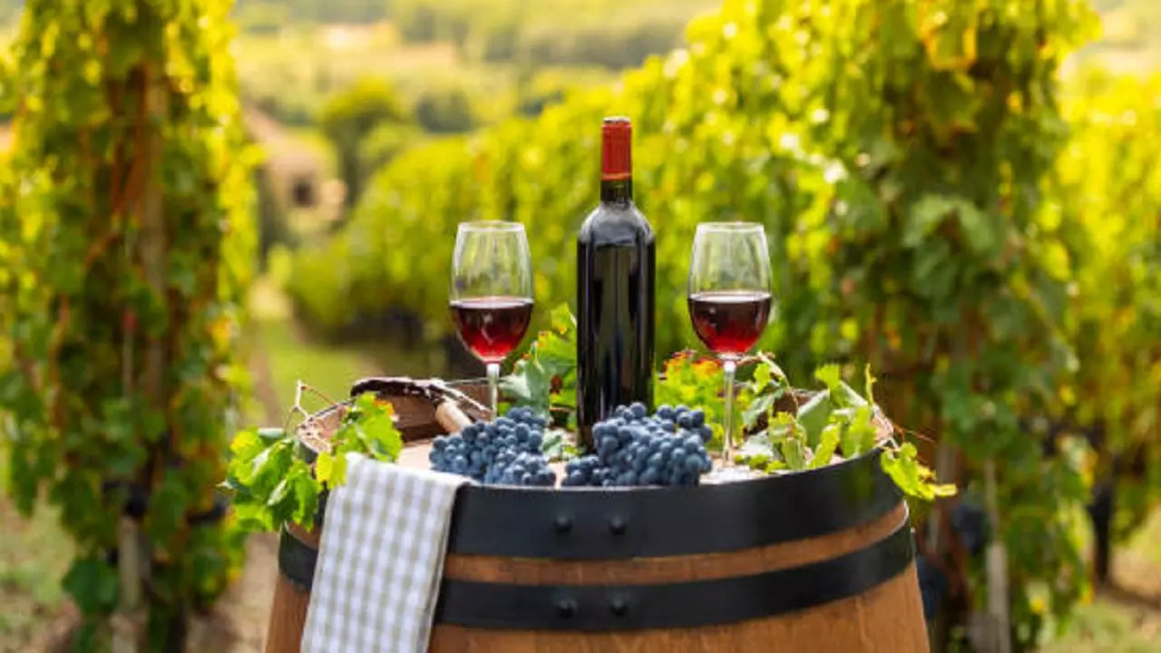 istockphoto-vineyards