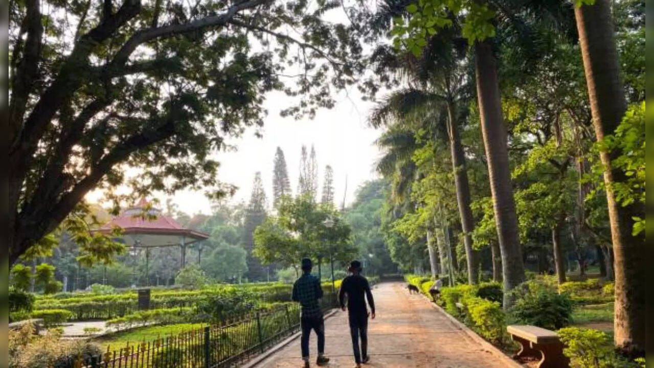 cubbon park, istock