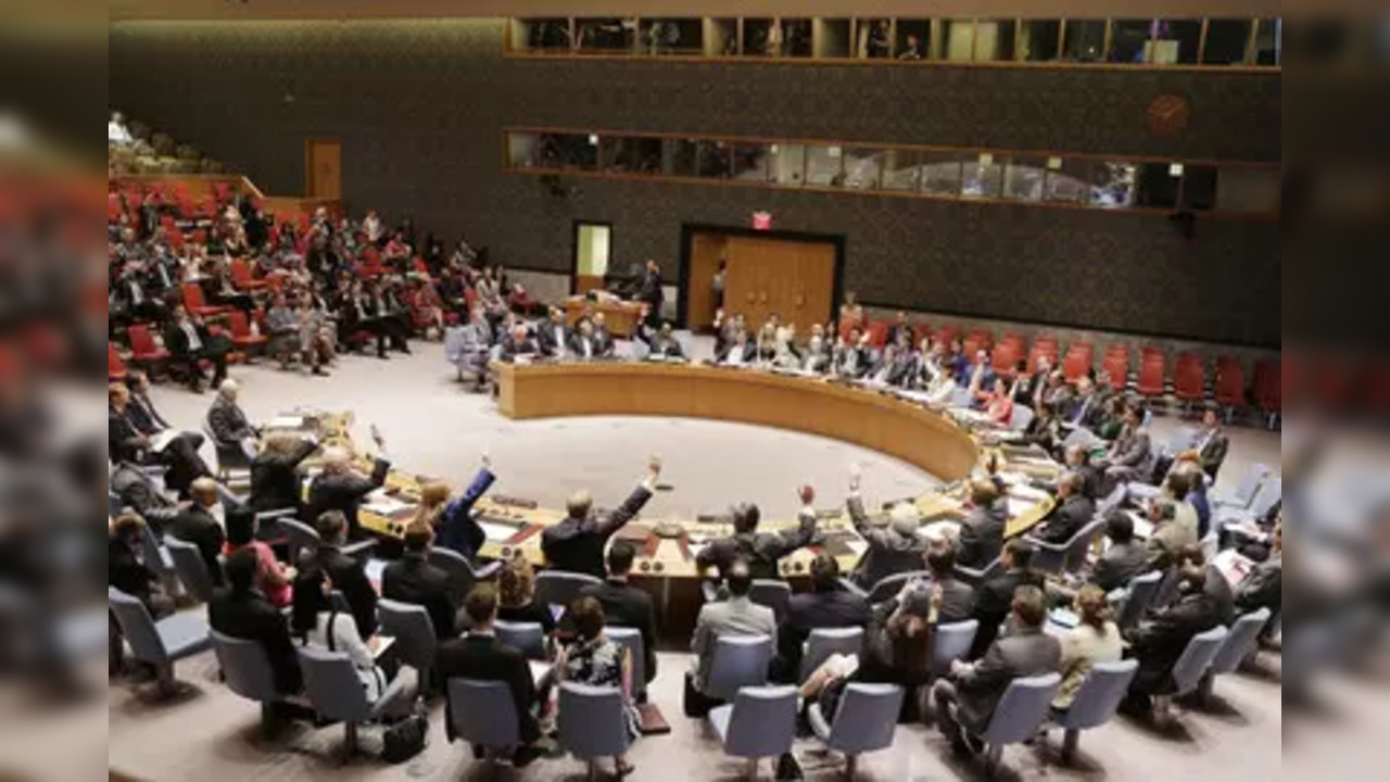 united nations security council