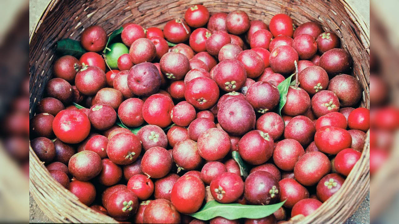 kokum