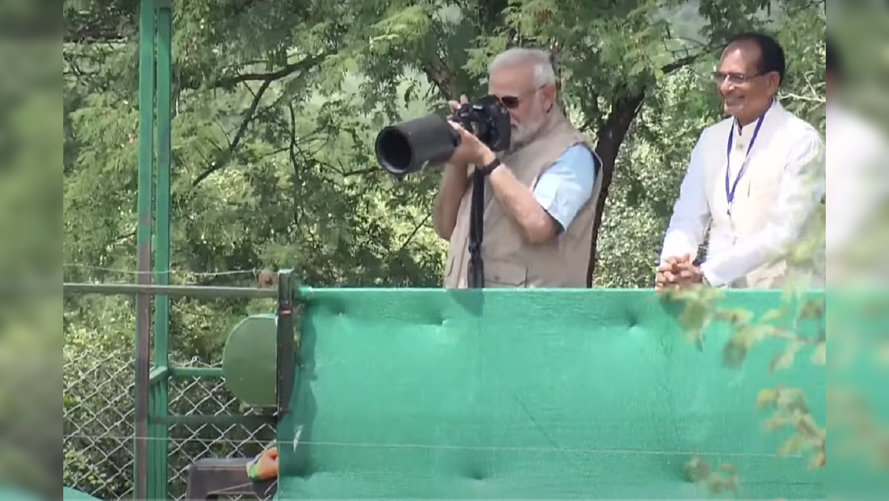 PM Narendra Modi at Kuno National Park on September 17