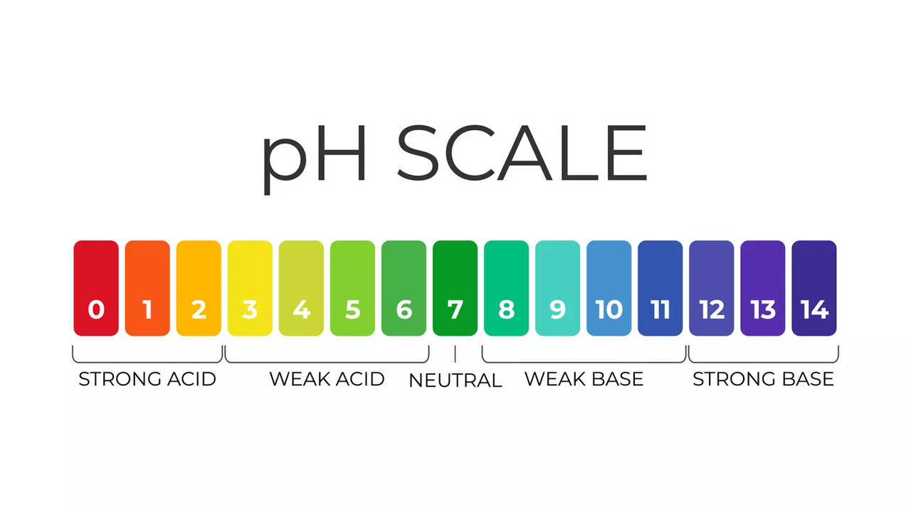 pH value scale, ranging from 1 to 14, from red to purple.
