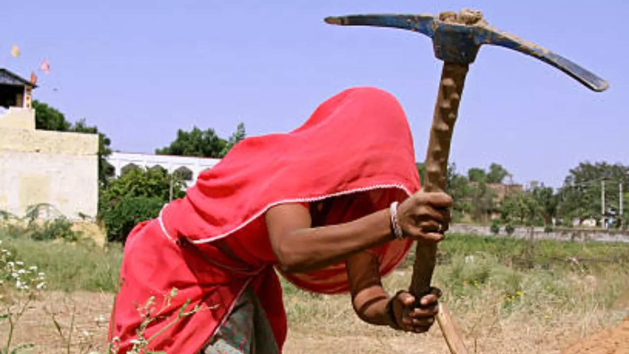 farm hand woman farmer women at work woman ryot