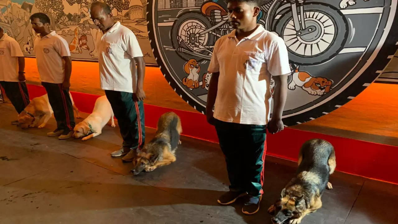 Kolkata Police dogs at pandal