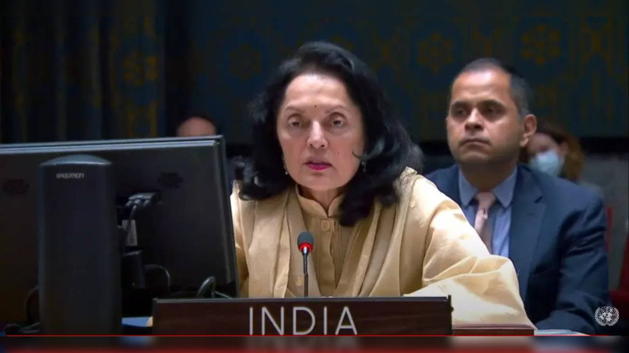 Ruchira Kamboj, Permanent Rep to UN at UNSC meeting