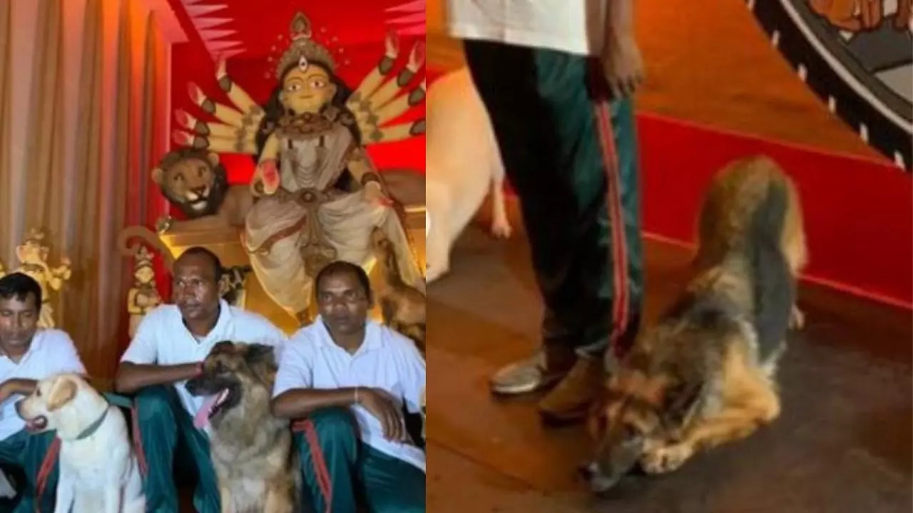 Kolkata police dog squad inaugurates Durga Puja pandal, netizens ...