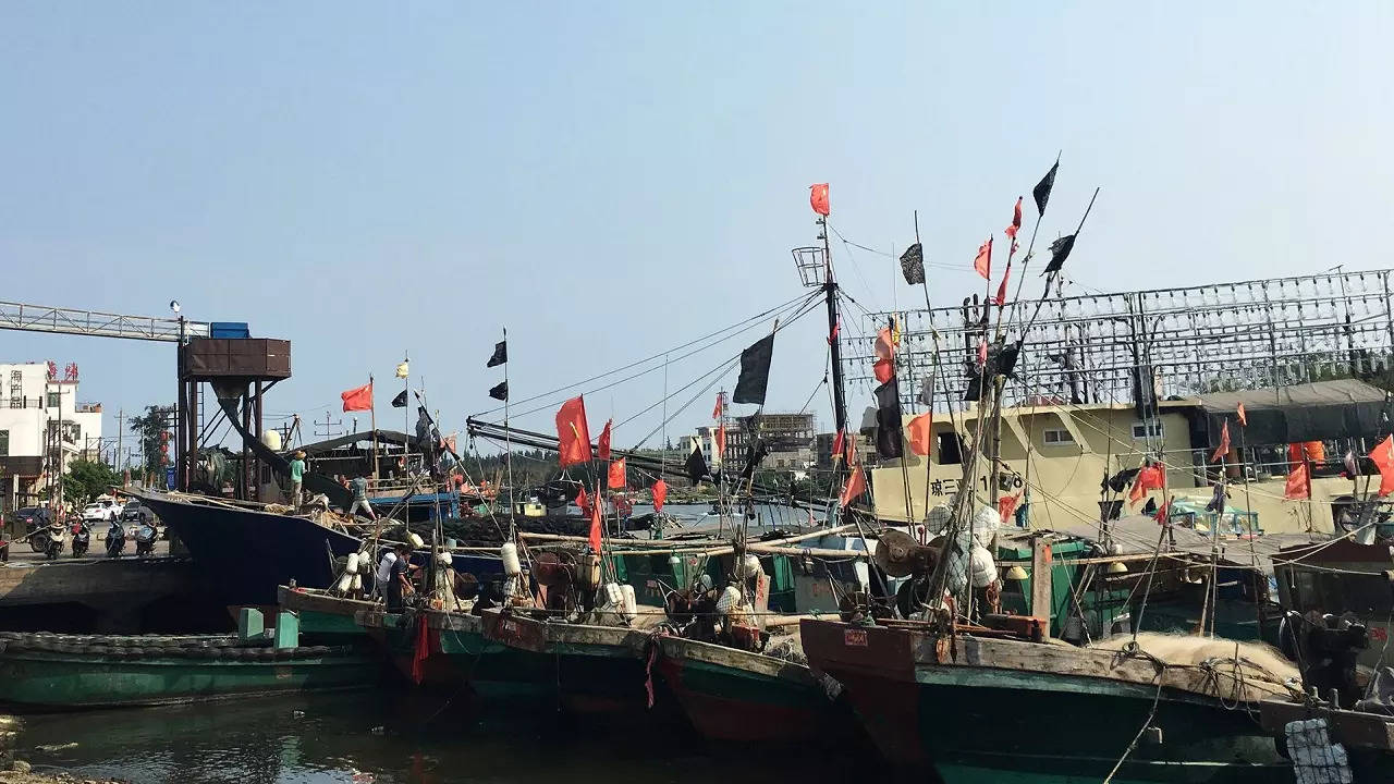 EXPLAINED]: How China fishing in others' waters is affecting marine  ecology, risking ocean life