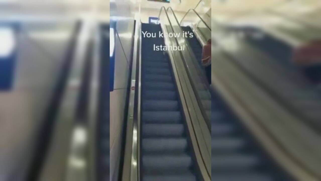 Viral video Cat trying to climb up an escalator leaves the laughing Times Now