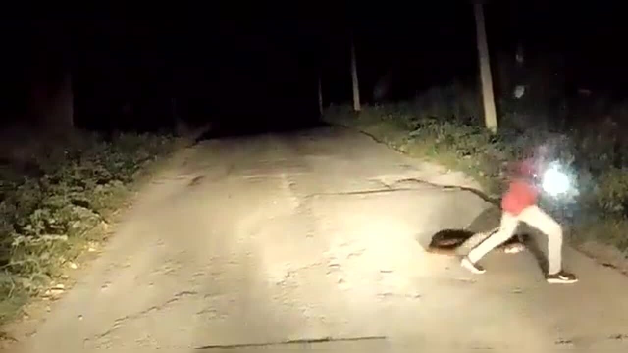 Viral video: Karnataka man removes python from road with bare hands ...