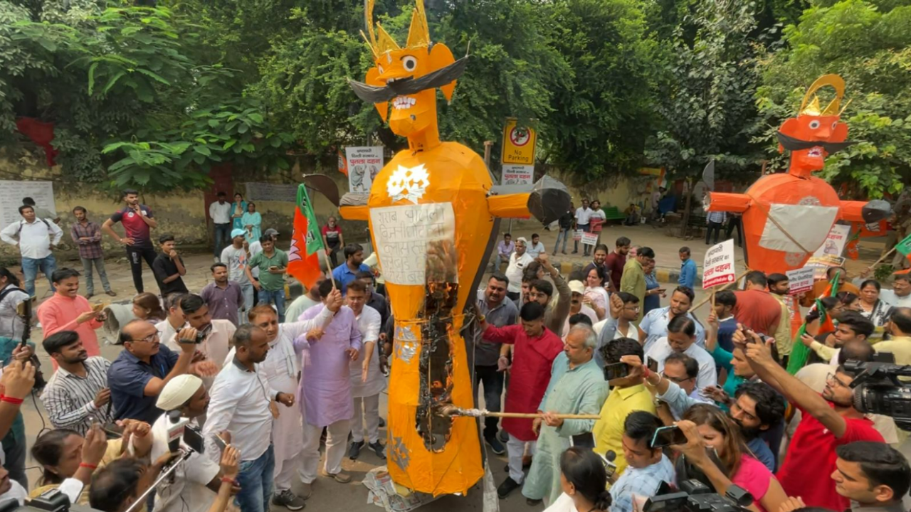 BJP burns effigy