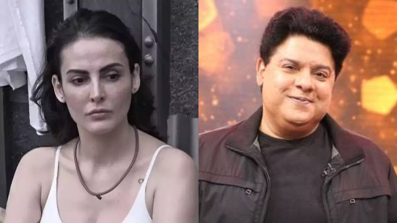 Mandanna Karimi, Sajid Khan