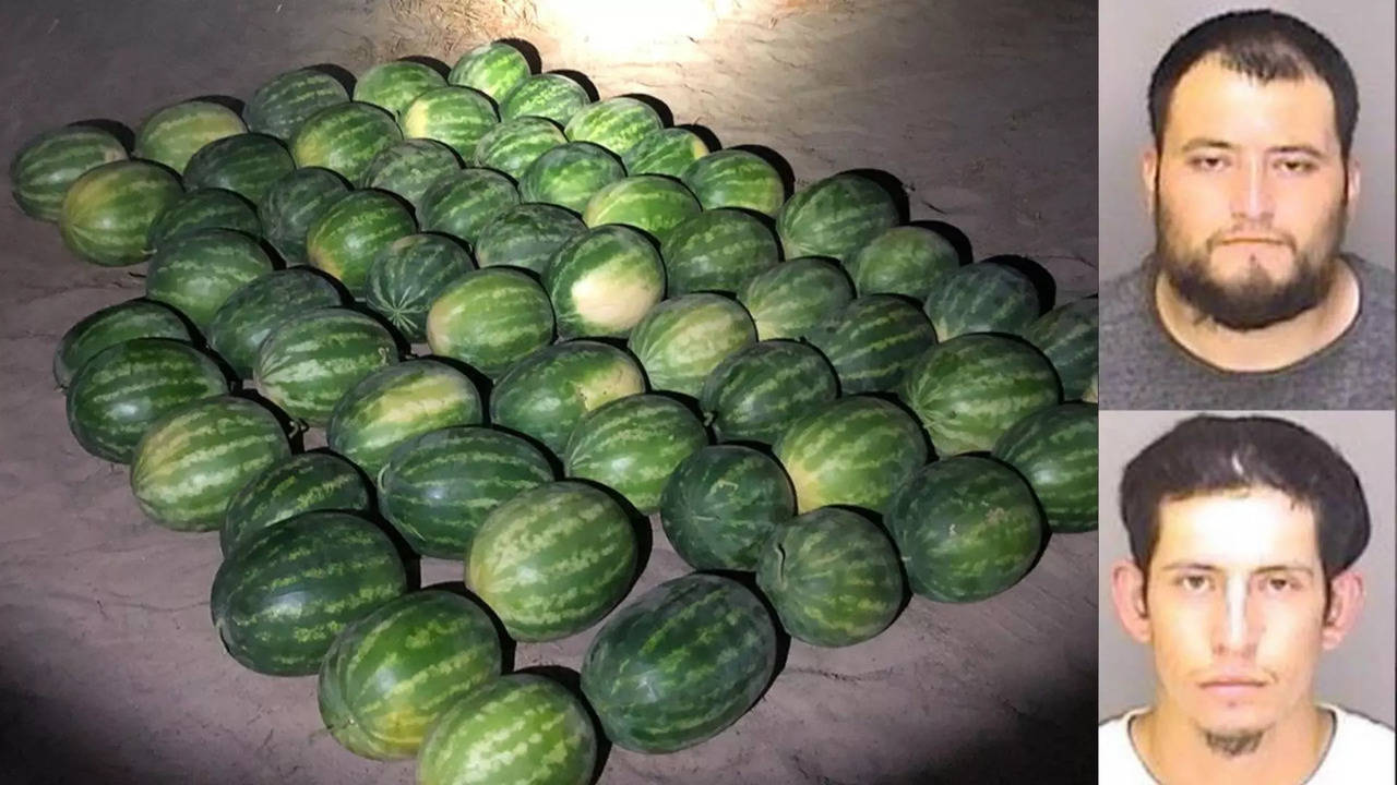 Two men arrested for stealing 57 watermelons in California | Picture courtesy: Merced County Sheriff's Office/11 News