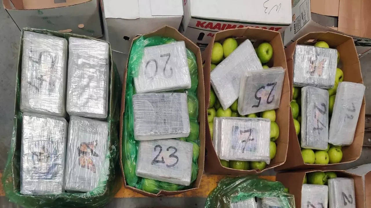 Cocaine worth Rs 502 concealed in fruit boxes crore seized by DRI in Mumbai