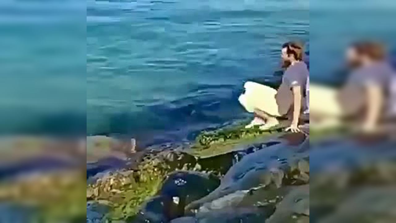 Man treads on slippery rocks to rescue and return baby turtle to her ...