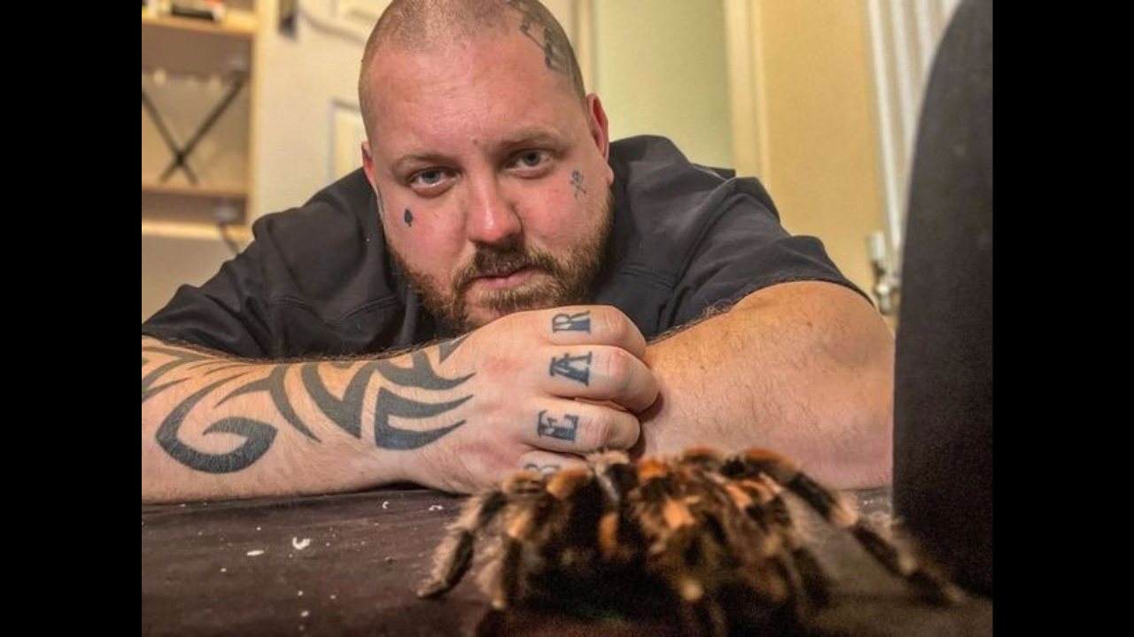 Man told to 'get a hobby' started collecting spiders and now has over 300 tarantulas