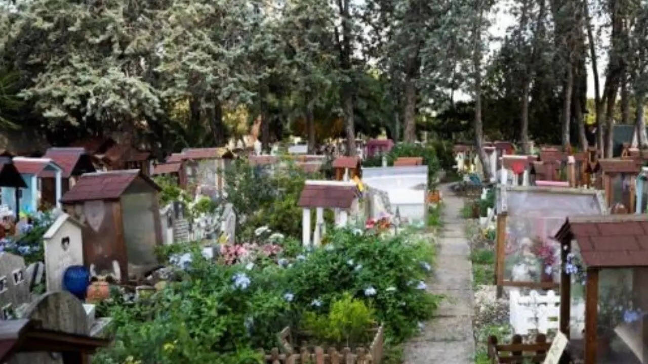 Italy's oldest pet cemetery