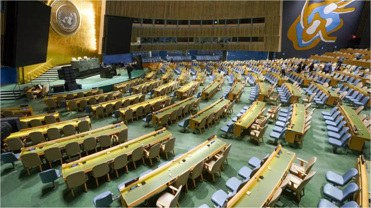 UN General Assembly