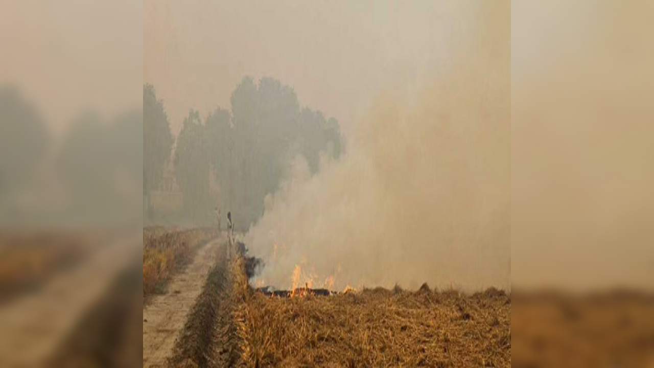 stubble burning