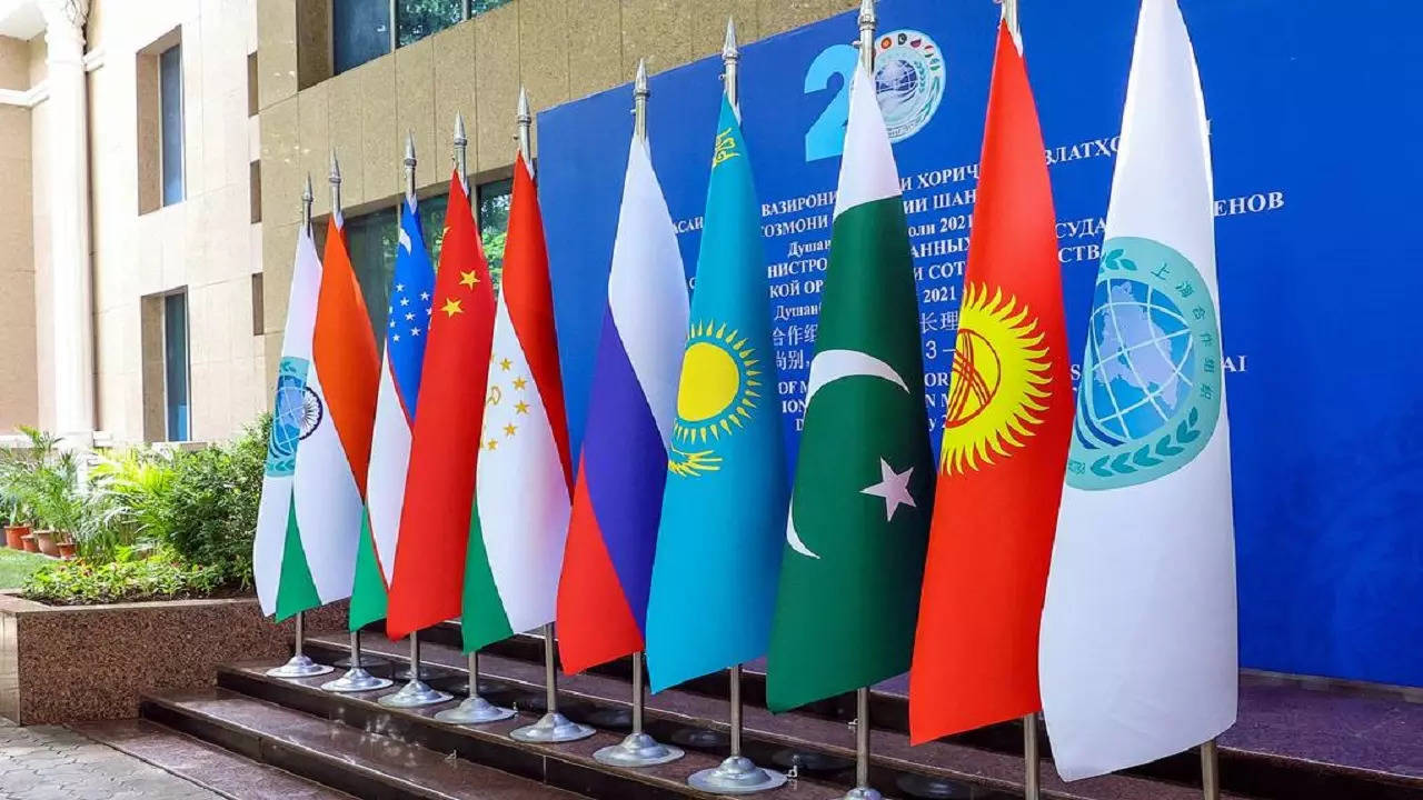 Shanghai Cooperation Organisation (Representational Image)