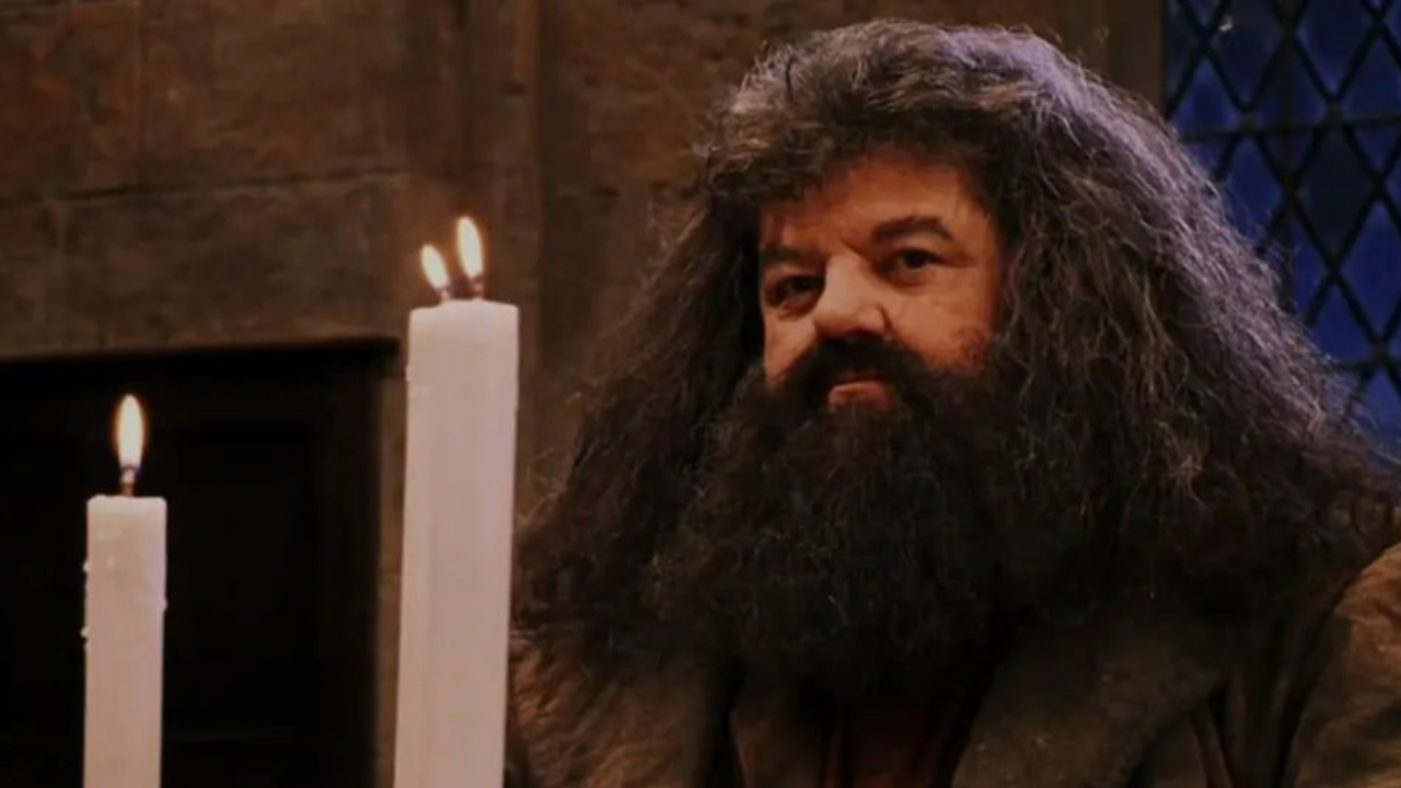 When the late Robbie Coltrane spoke about Harry Potter's legacy