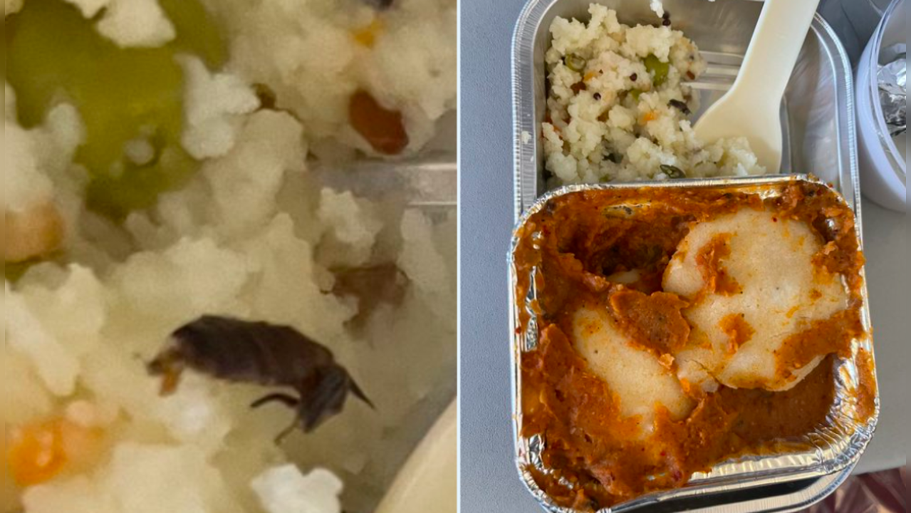 Cockroach in Air Vistara meal? Jet CEO thinks Twitter post is 'hit job