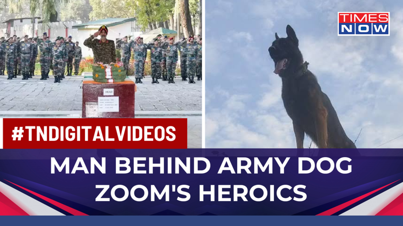 'Valorous Zoom Fought Militants Despite Injuries,' Army Dog's Trainer Remembers The Hero | Latest News