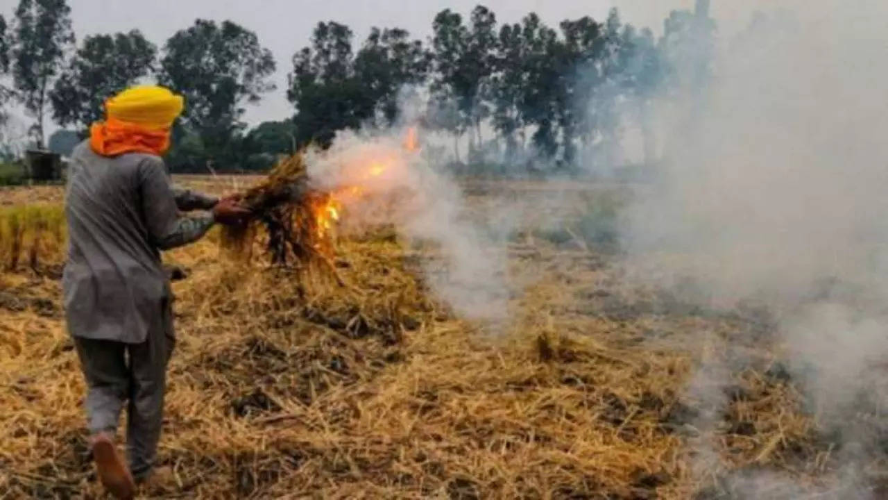 Stubble burning