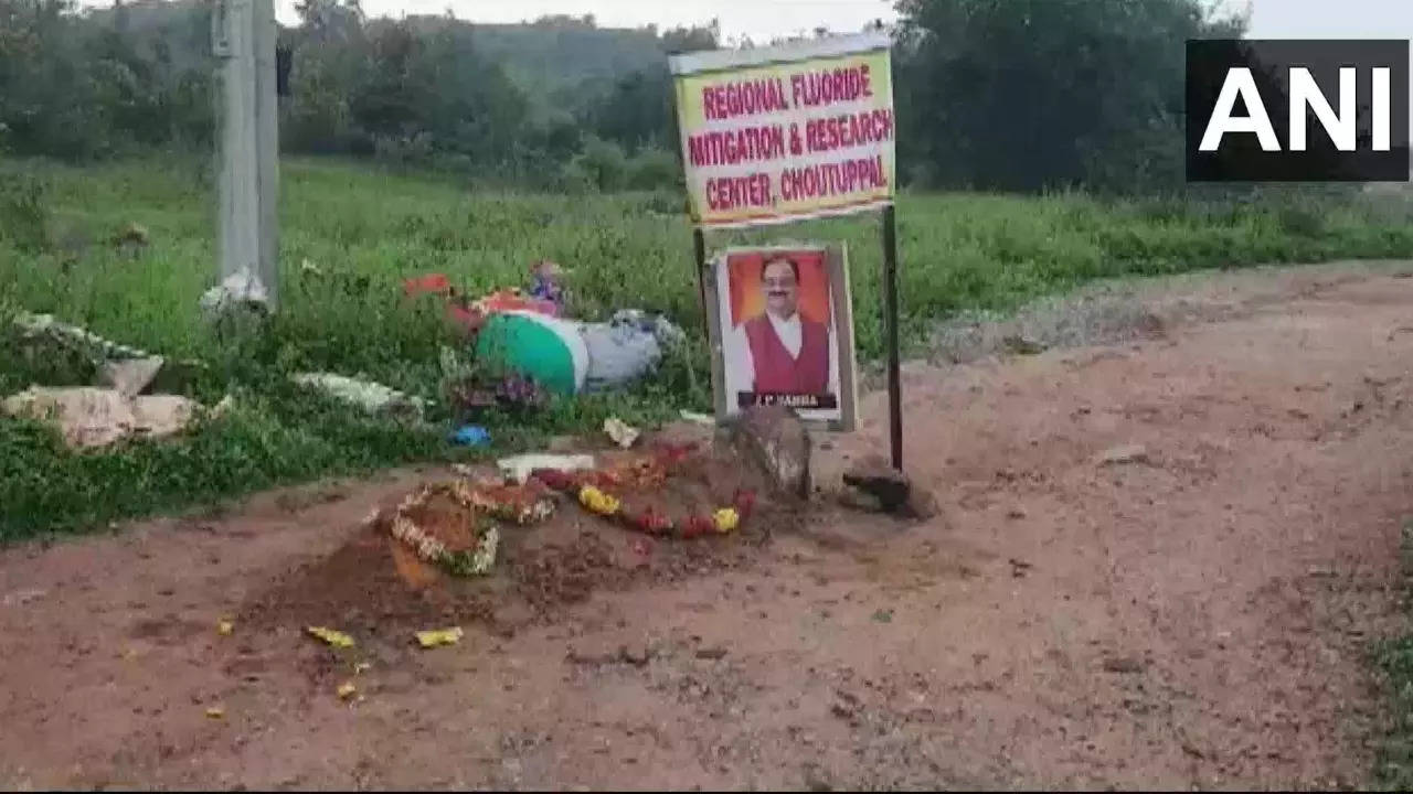 grave nadda ANI